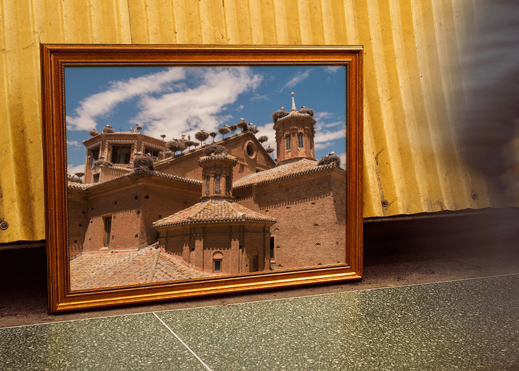 Alfaro - Čapí kolonie