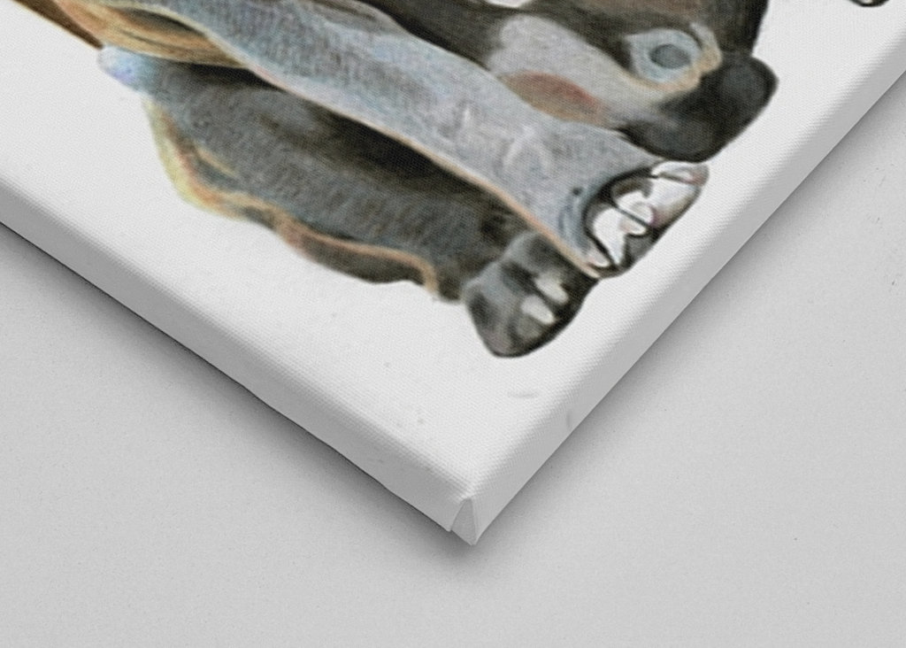 Francouzský buldoček