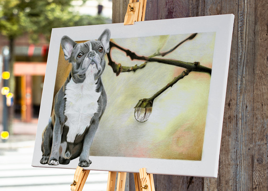 Francouzský buldoček