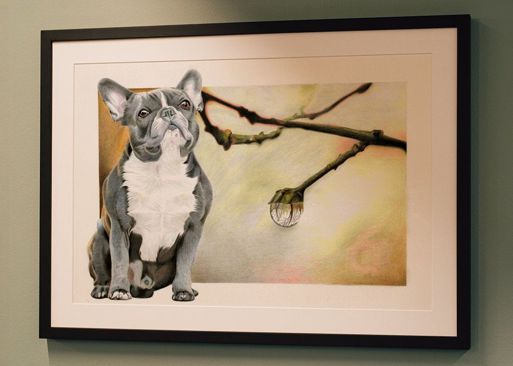 Francouzský buldoček