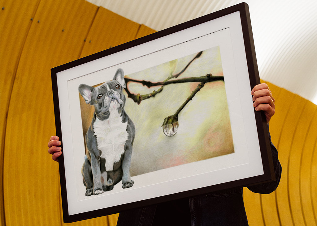 Francouzský buldoček