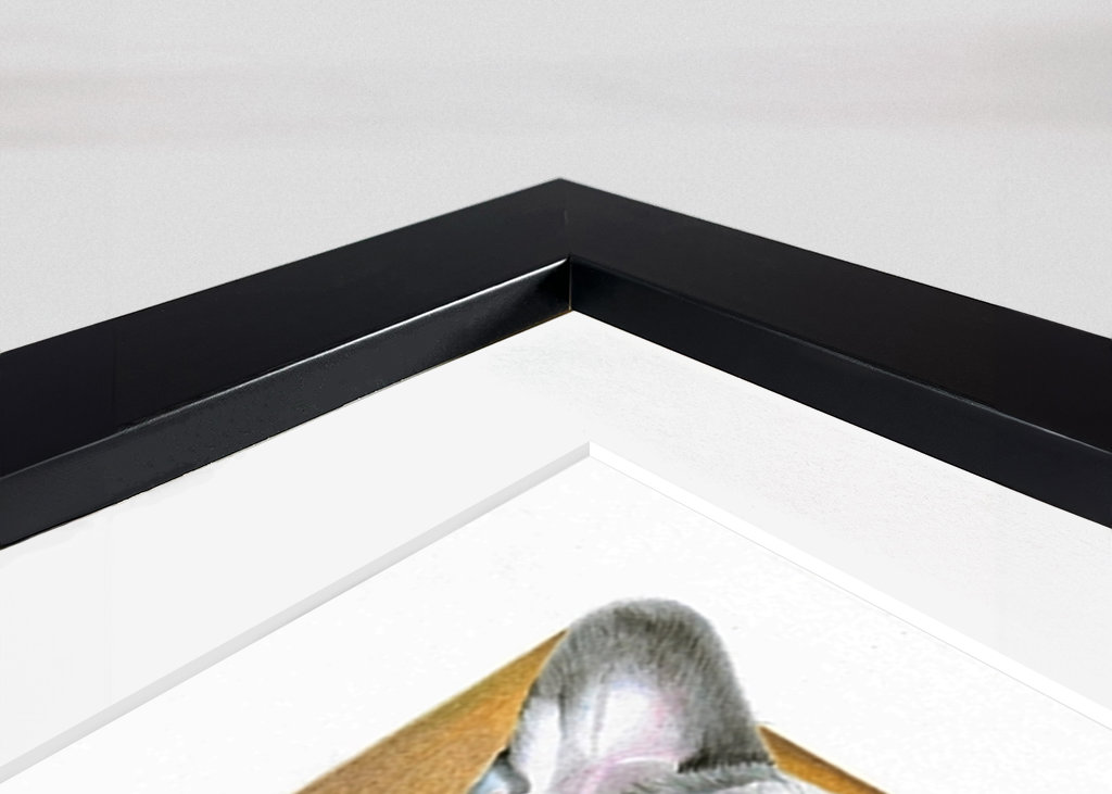 Francouzský buldoček