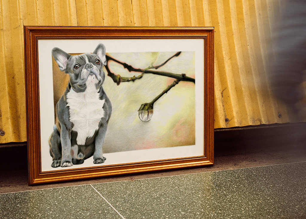 Francouzský buldoček