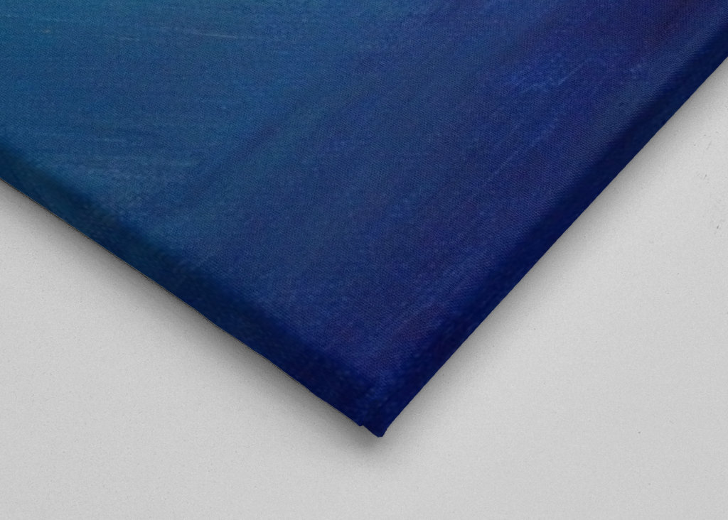 Tubarão sorridente na água