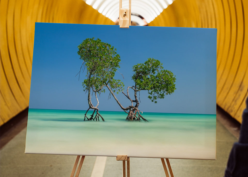 Tropisk strand på Andamanøerne