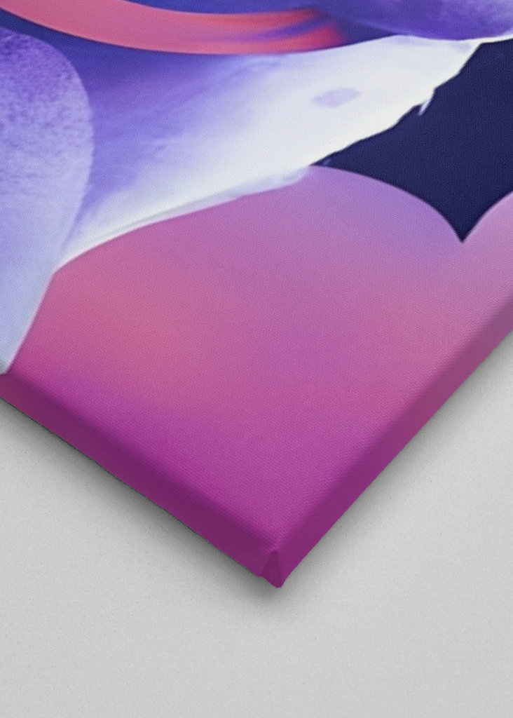 Bear in Space: Kids' Room No 4