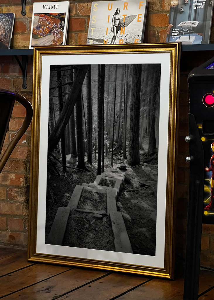 Schwarz-weiße Treppen im Wald