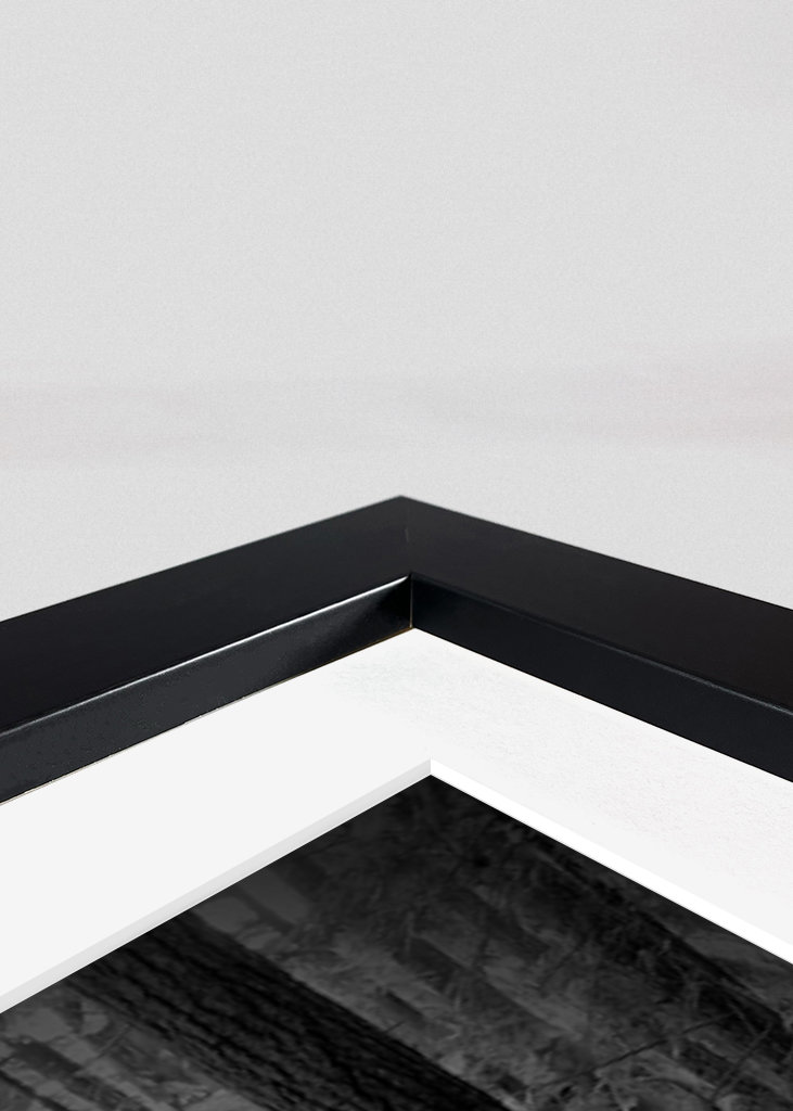 Schwarz-weiße Treppen im Wald