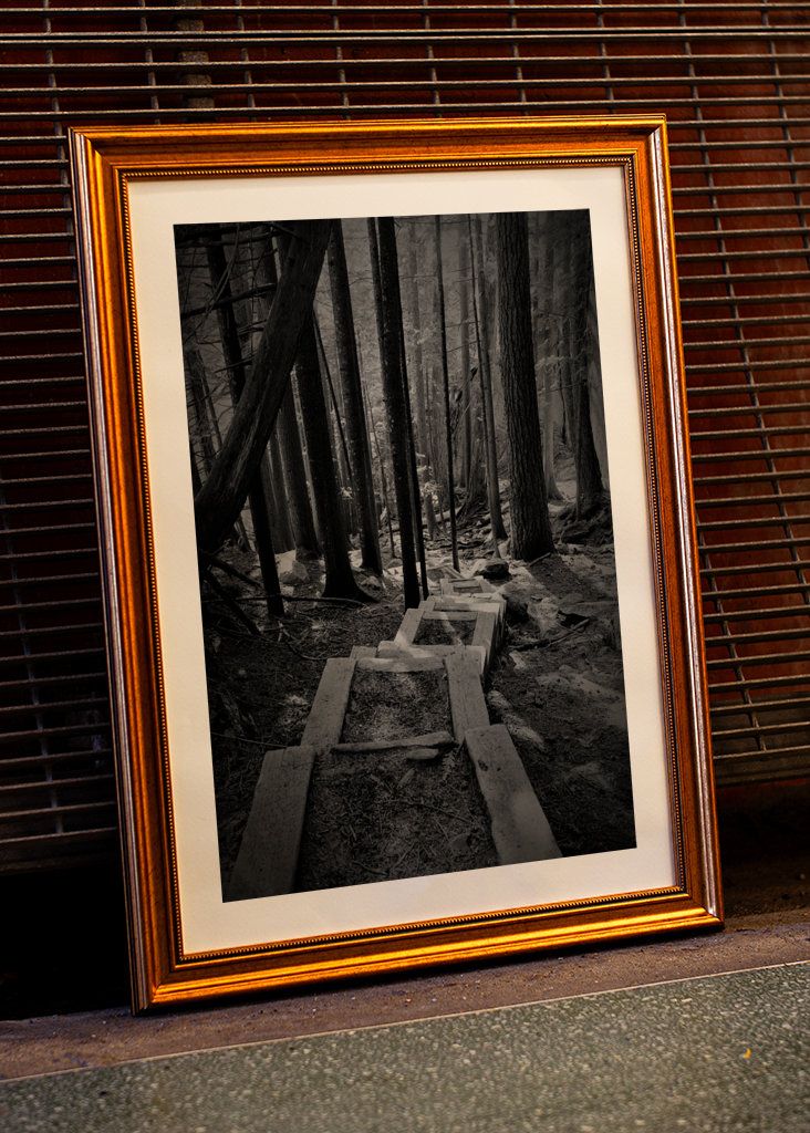 Schwarz-weiße Treppen im Wald