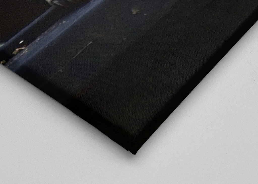 El mapache en el cubo de la basura