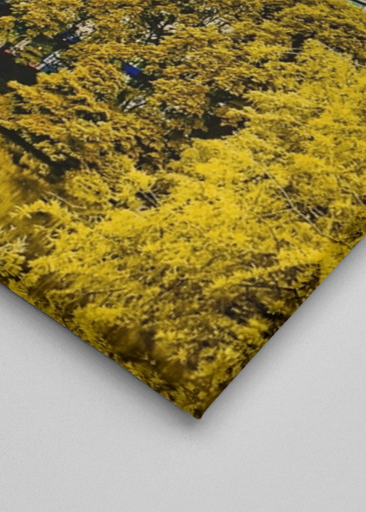 The Plaza Hotel, New York