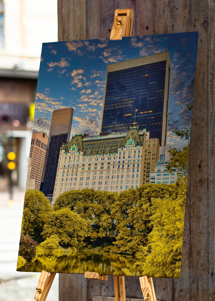 The Plaza Hotel, New York