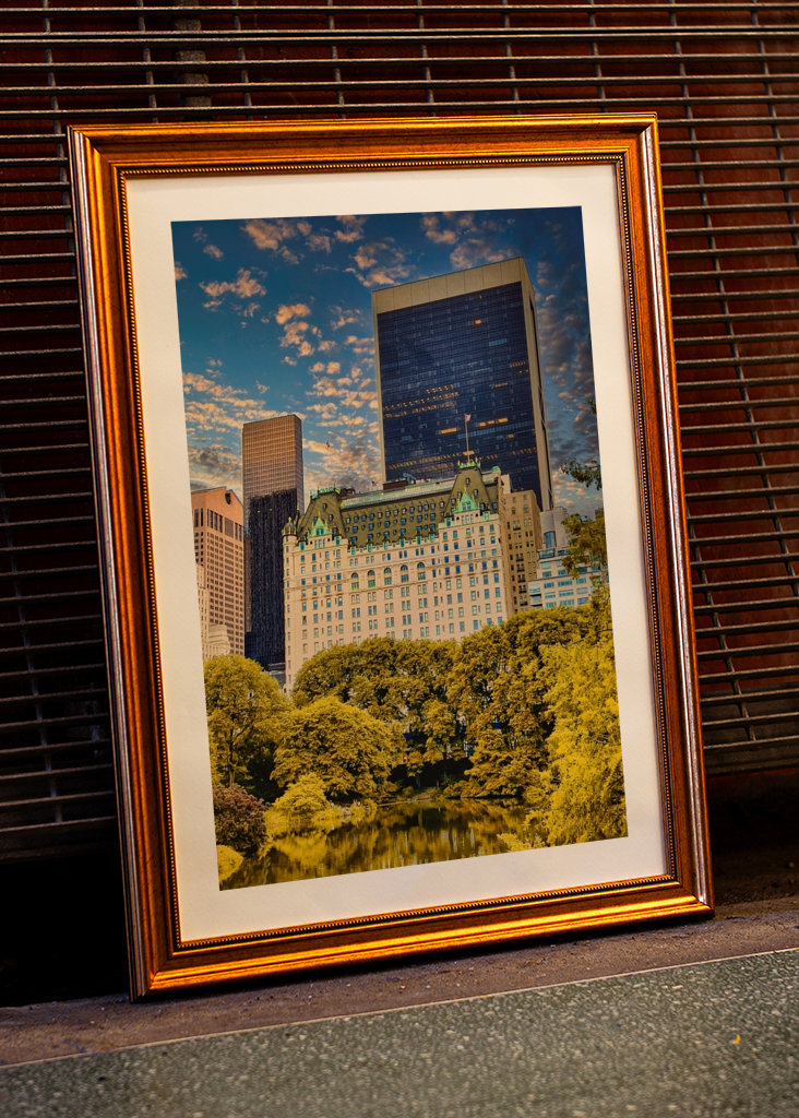 The Plaza Hotel, New York