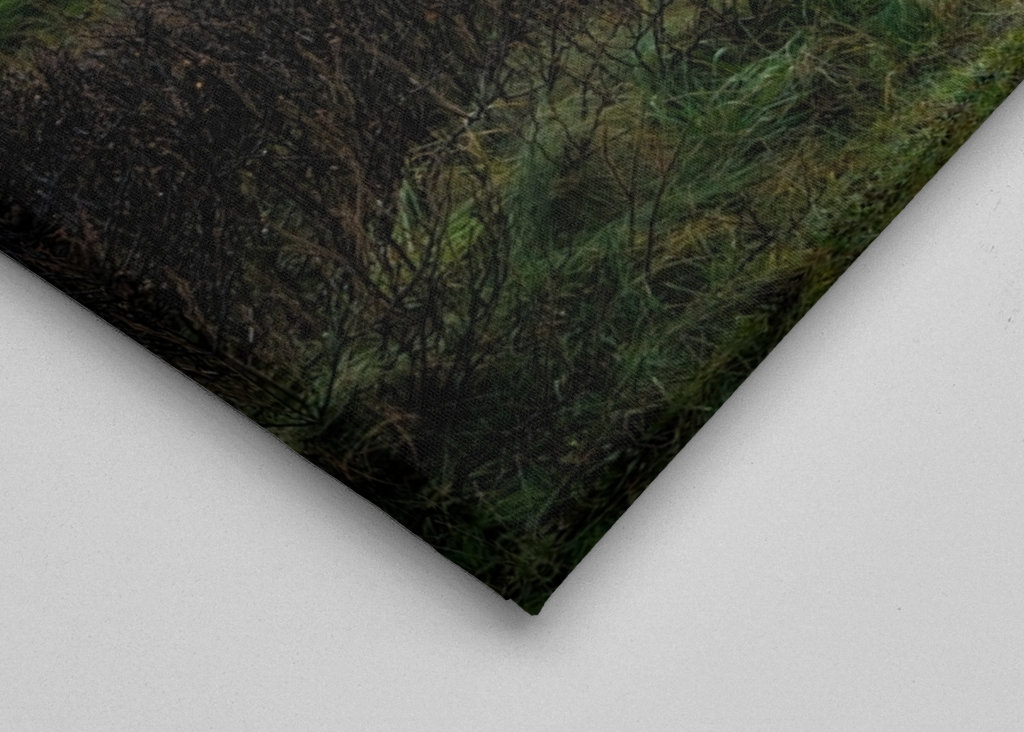 DK, Scogliere al tramonto