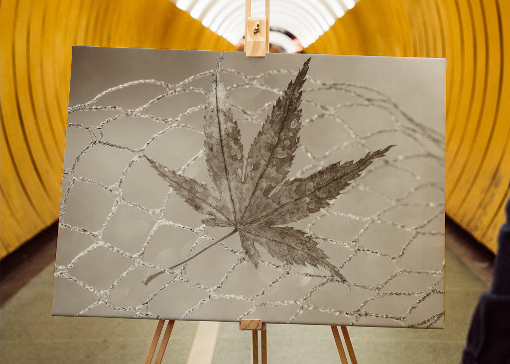 Stilleben "Blad i nettet" I