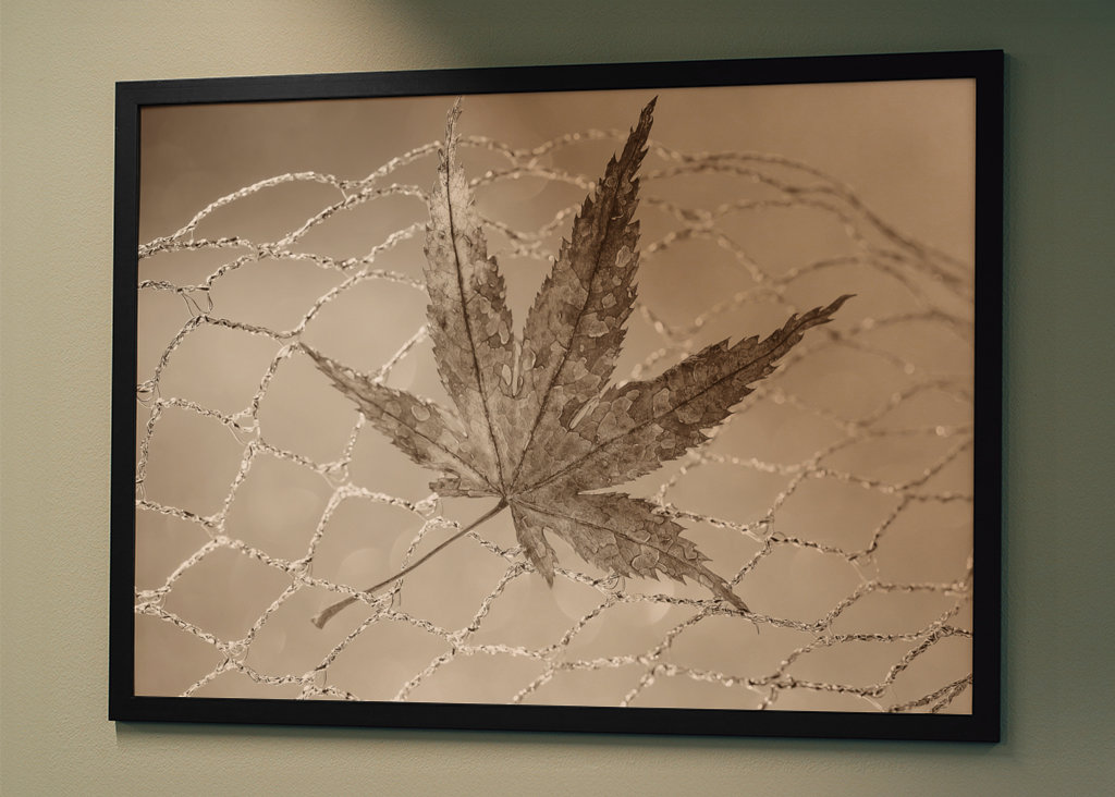 Stilleben "Blad i nettet" I