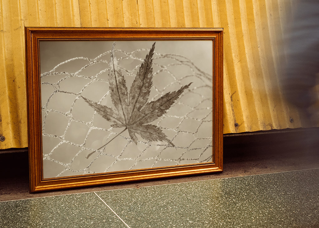 Stilleben "Blad i nettet" I