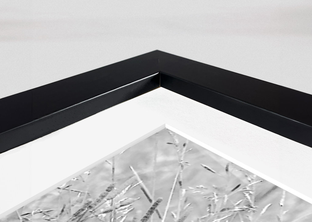 Female Chimpanzee Linda