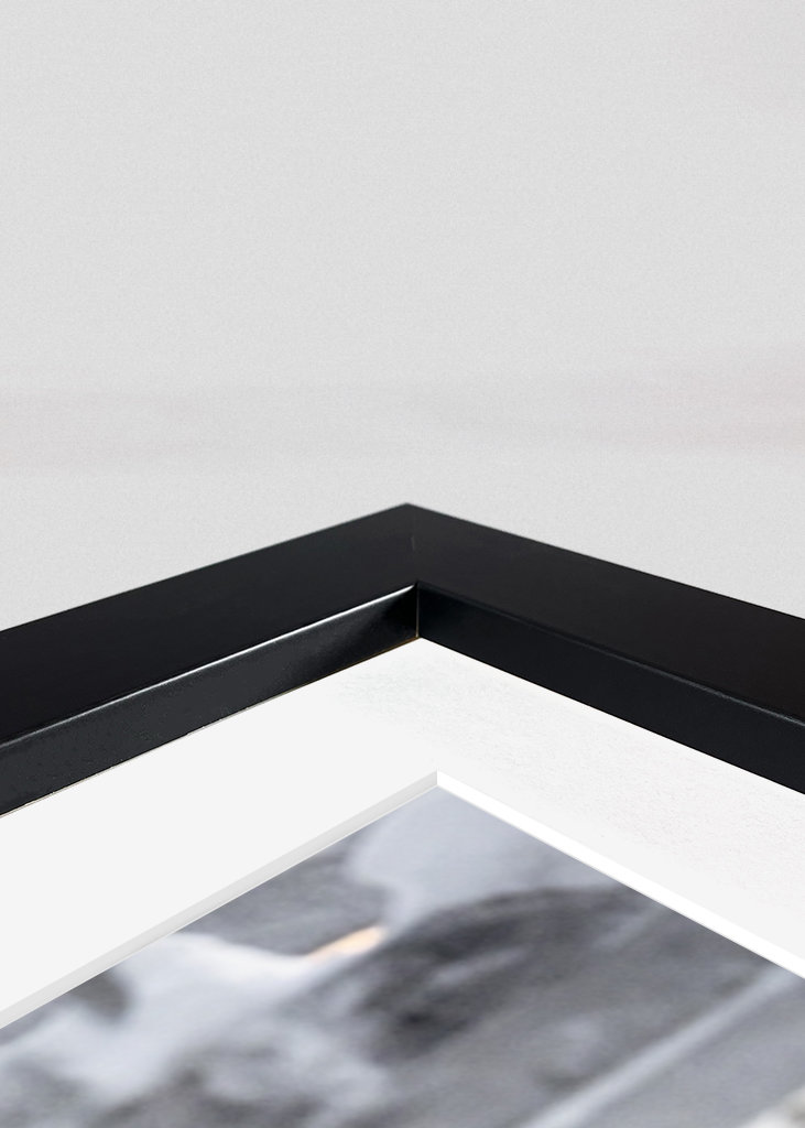 Poro.. paljon poroja.