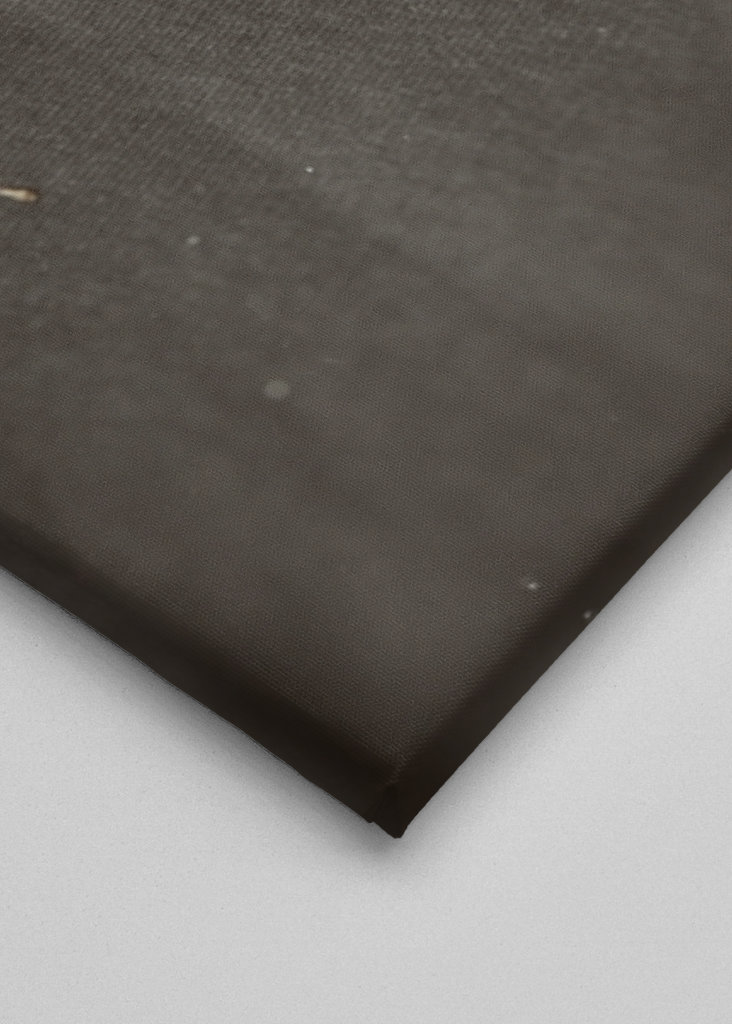 Herbarium - Plant on backgroun