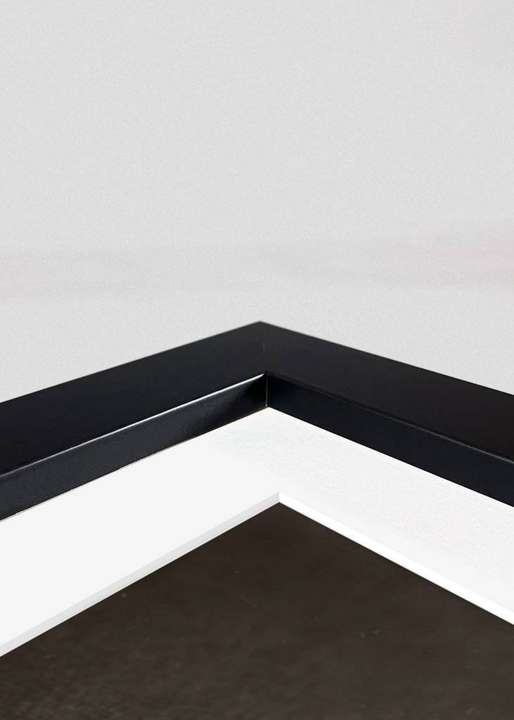 Herbarium - Plant on backgroun