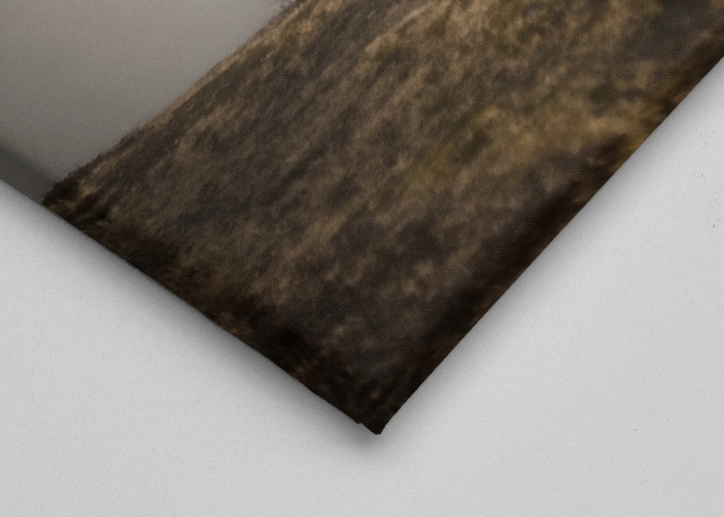 Kámen v krásném světle