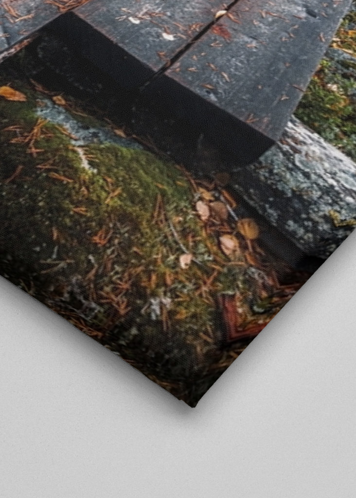 Cesta začarovaným lesem