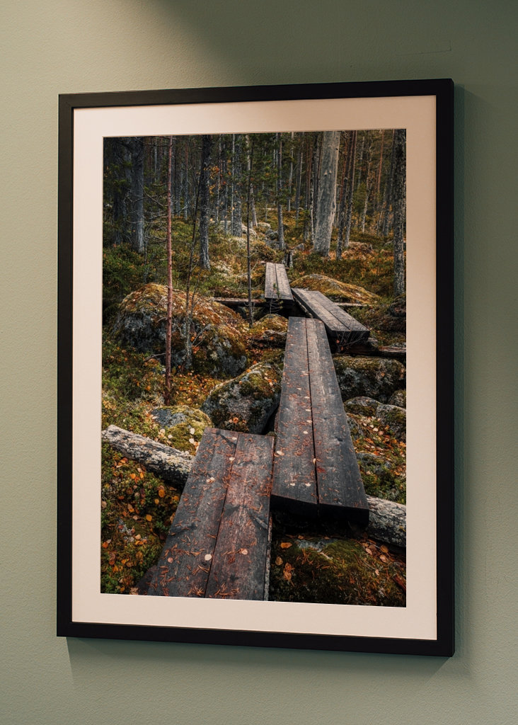 Cesta začarovaným lesem