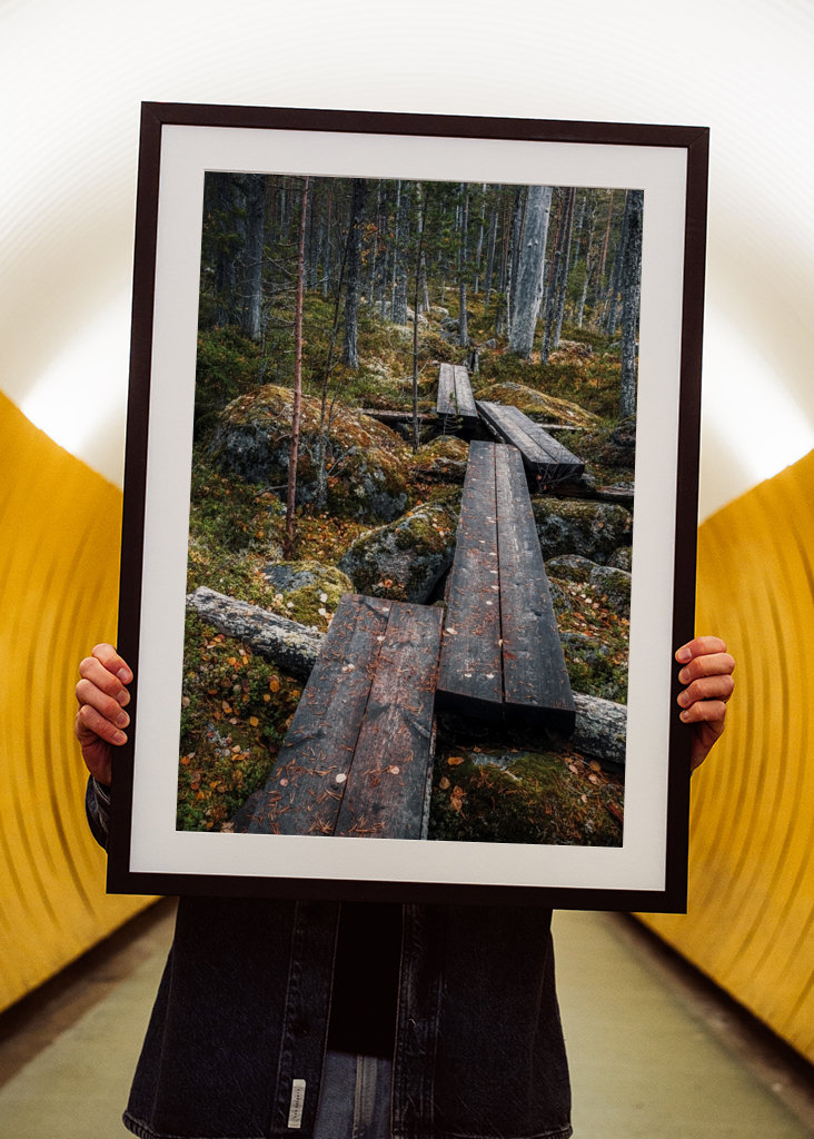 Cesta začarovaným lesem