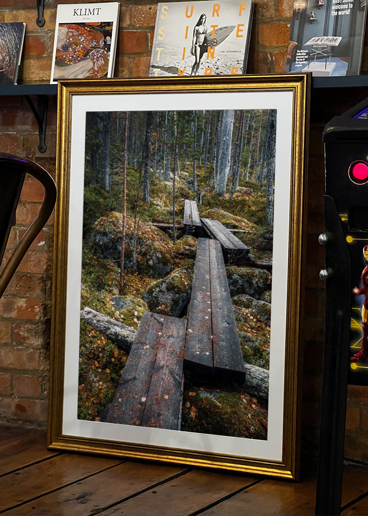 Cesta začarovaným lesem