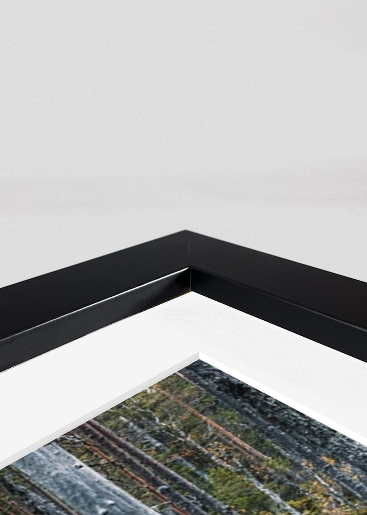 Cesta začarovaným lesem