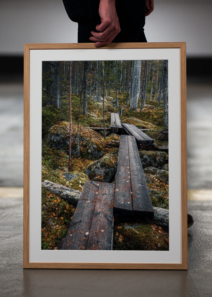 Cesta začarovaným lesem