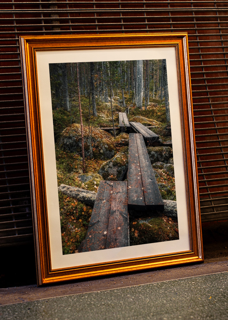 Cesta začarovaným lesem