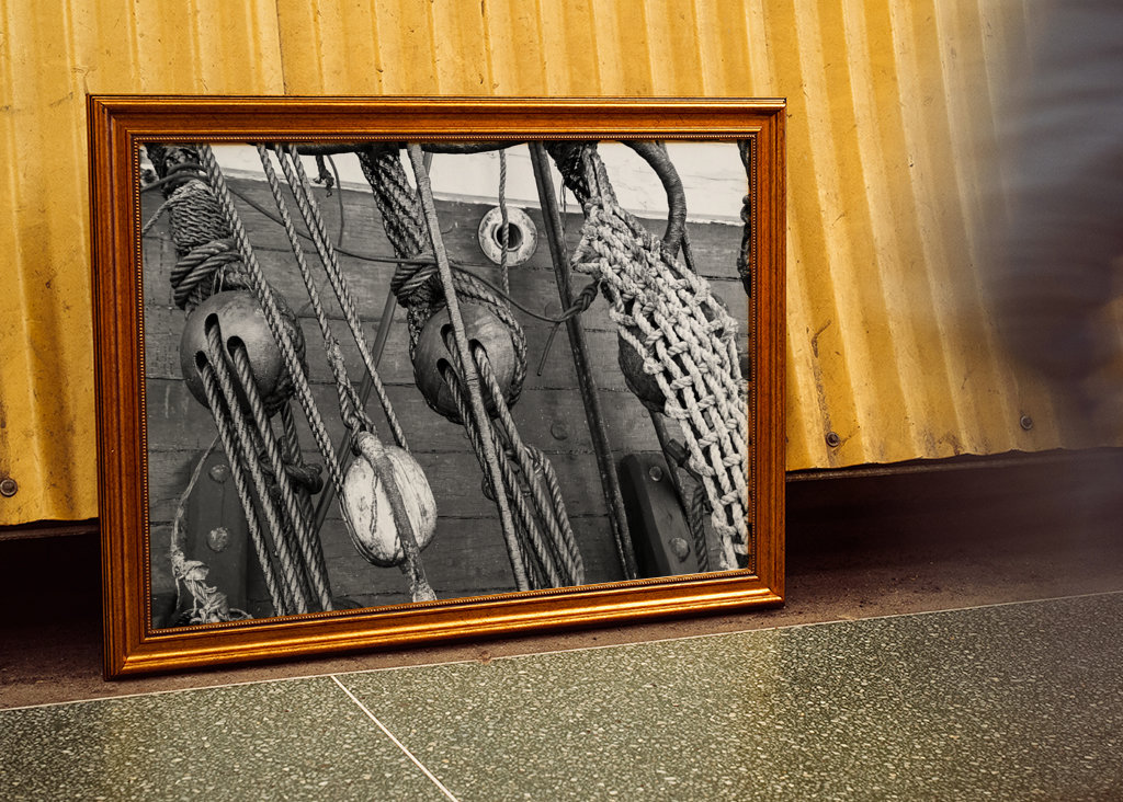 Der Ostindienmensch Götheborg