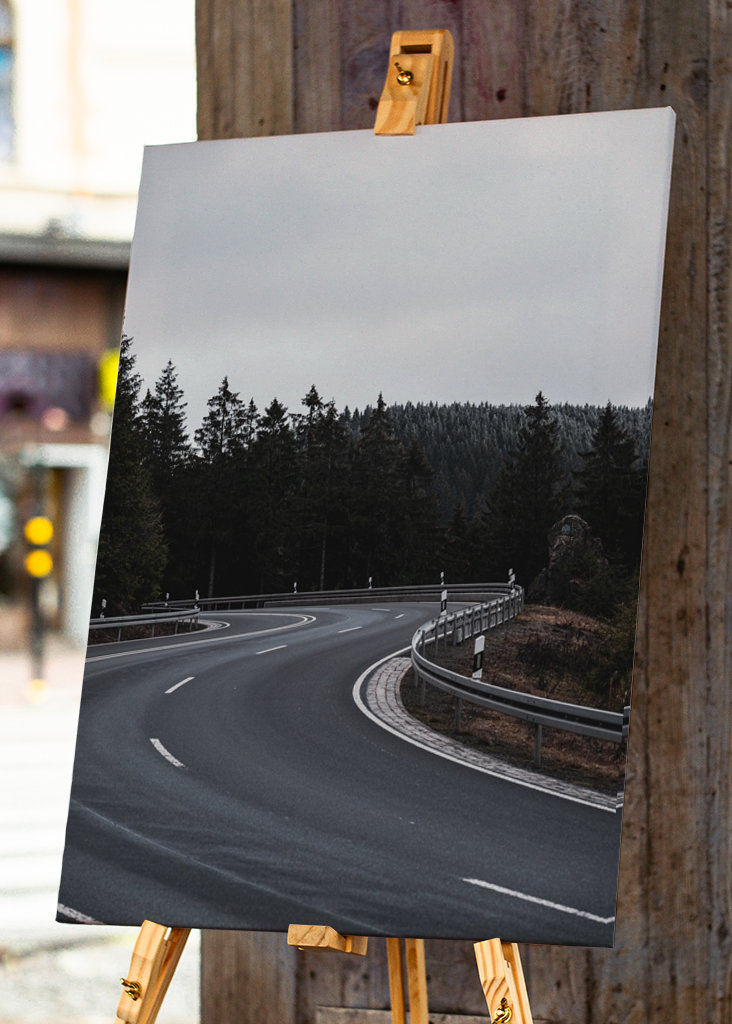 Route de campagne sinueuse à la forêt