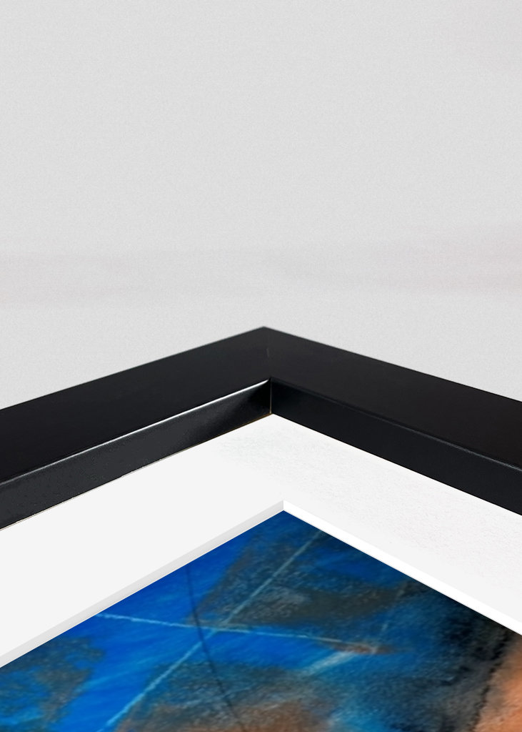 Phoenix from the ashes