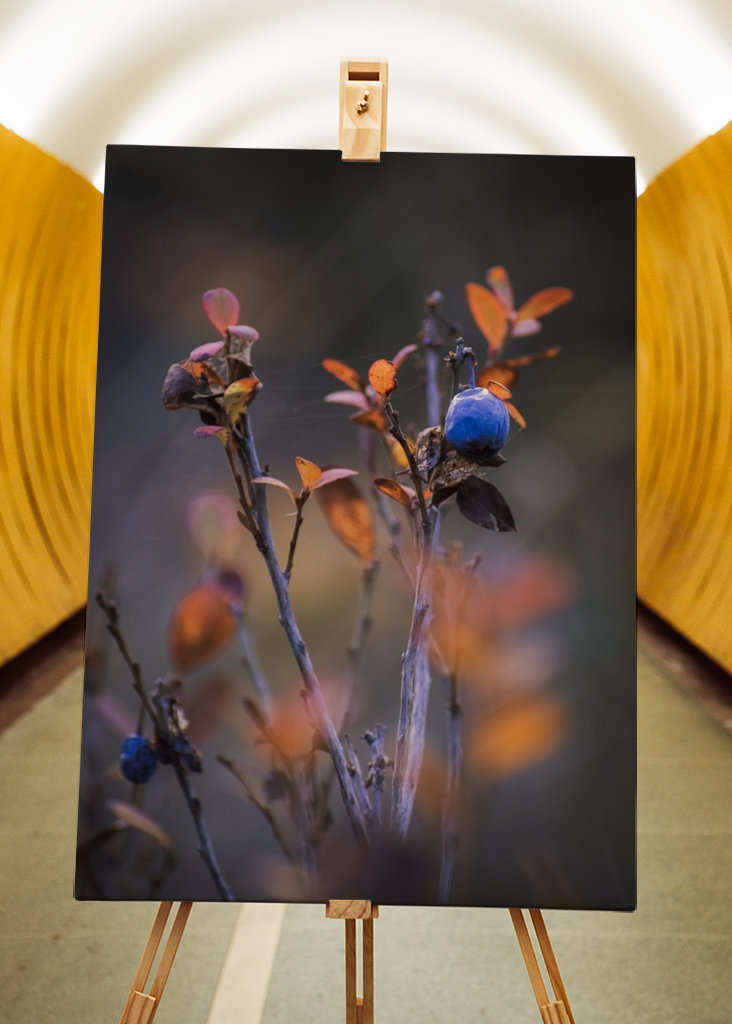 Podzimní odpočinek