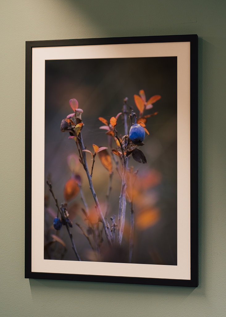 Podzimní odpočinek