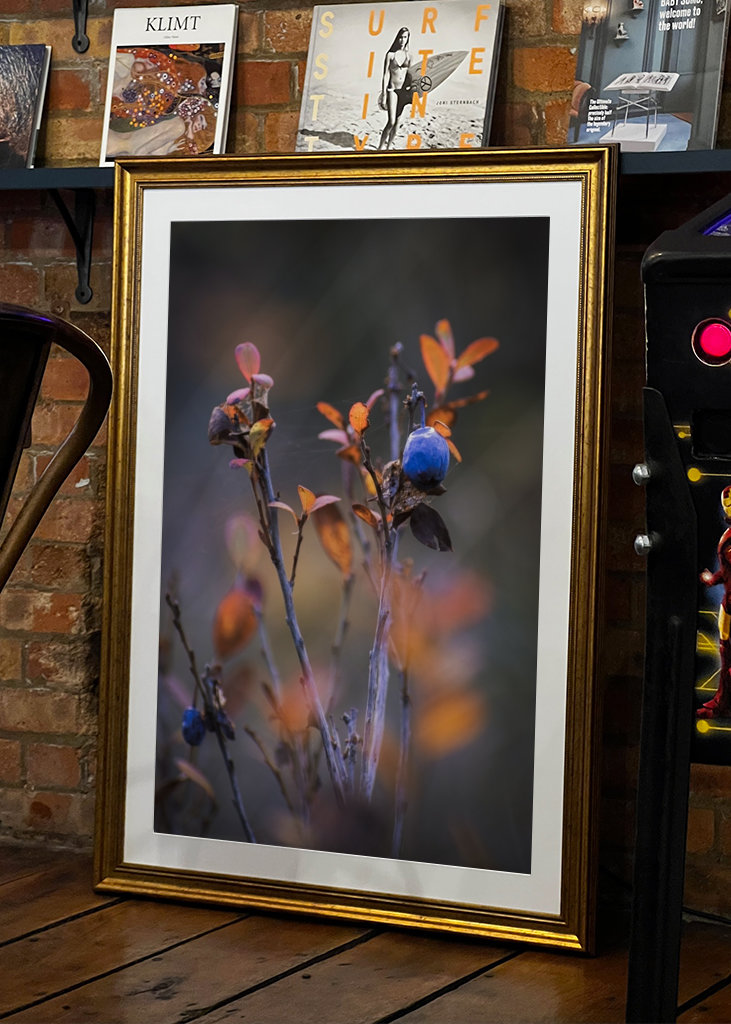 Podzimní odpočinek