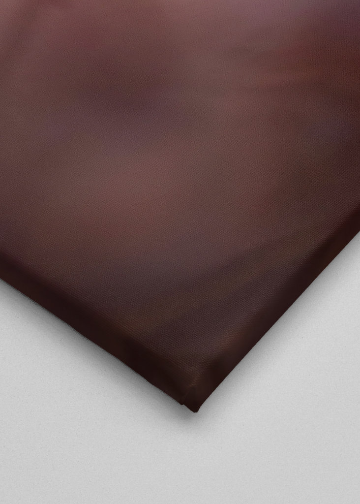 Kirsebærblomst i solnedgangen