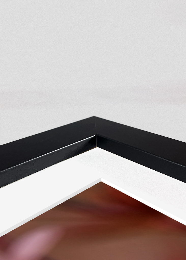 Kirsebærblomst i solnedgangen