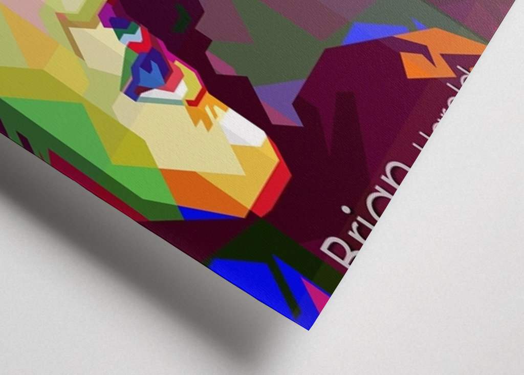 Brian May Queen Guitariste