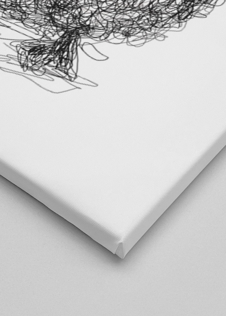 Anatroccolo scarabocchiato