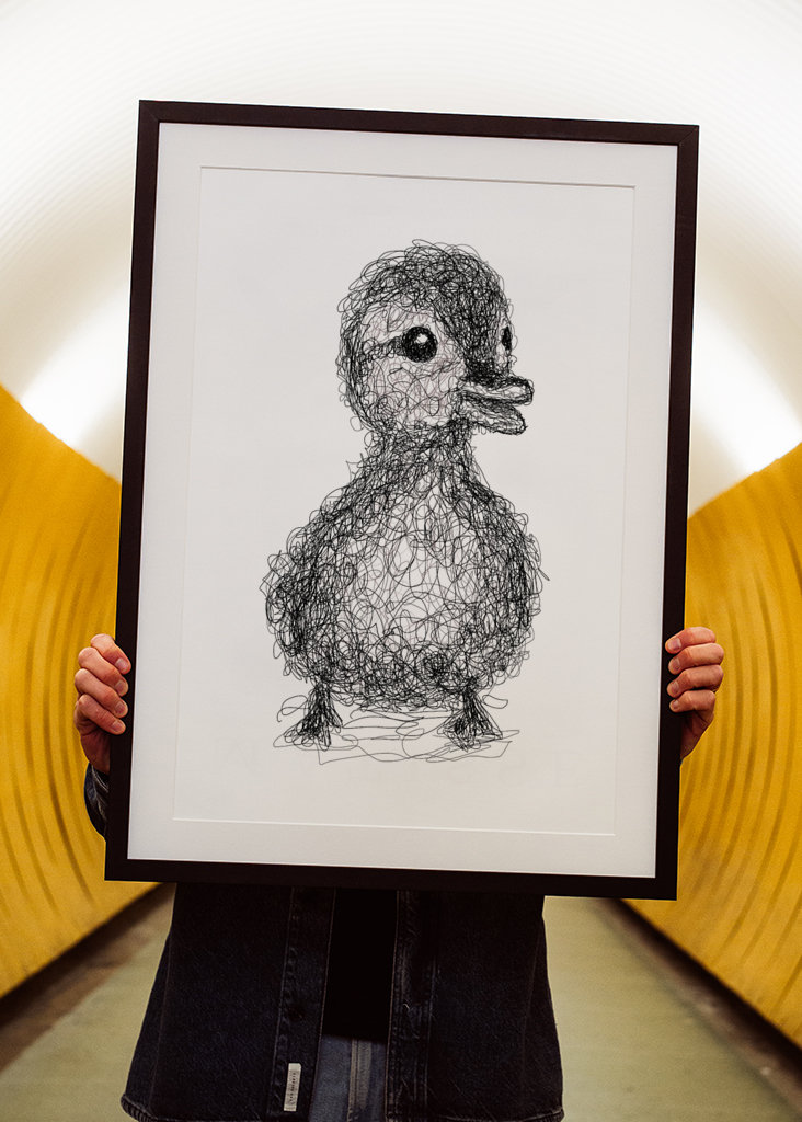 Anatroccolo scarabocchiato