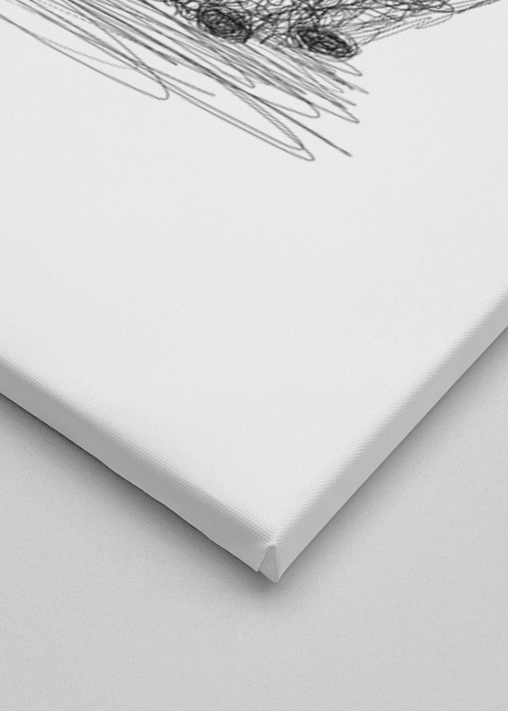 Hérisson griffonné