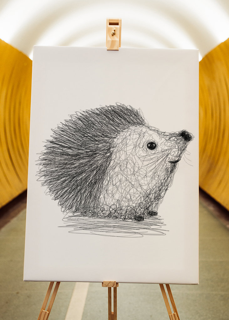 Hérisson griffonné