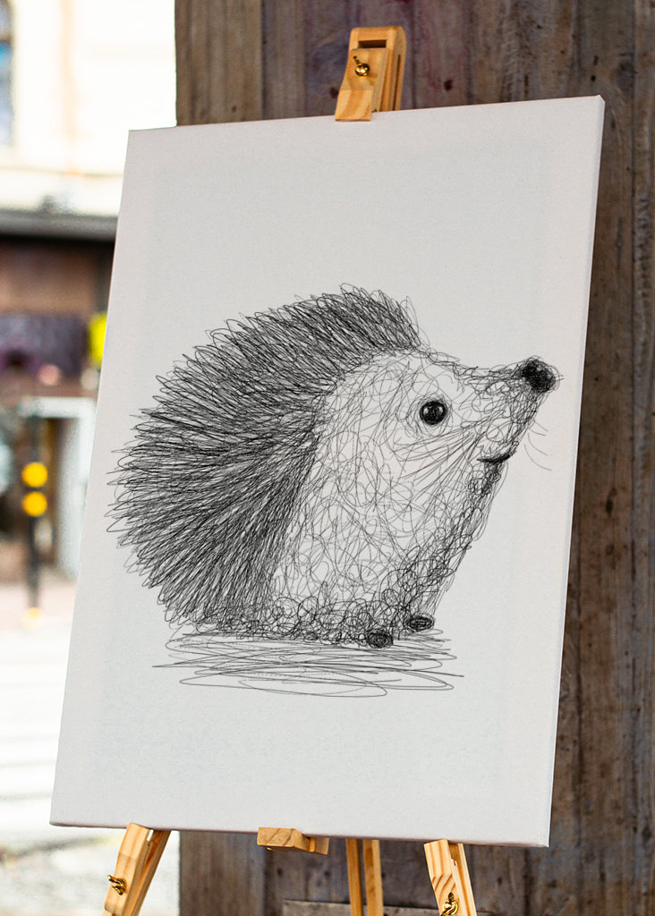 Hérisson griffonné