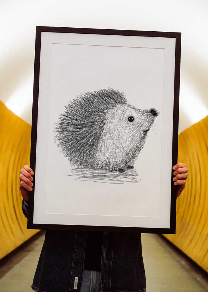 Hérisson griffonné