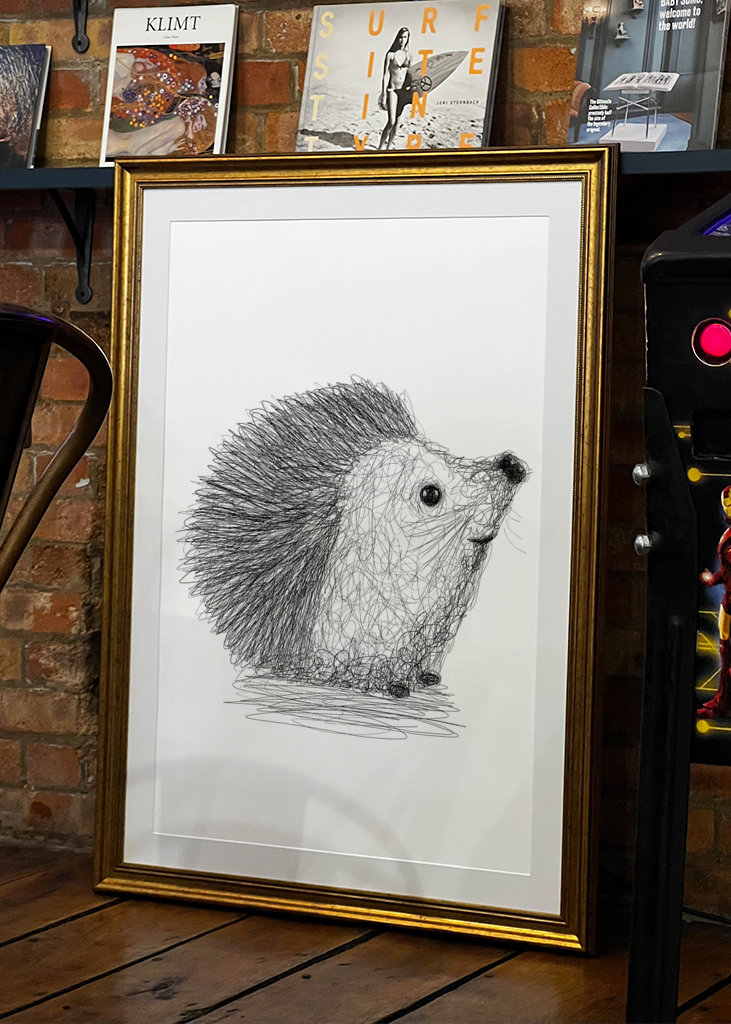 Hérisson griffonné