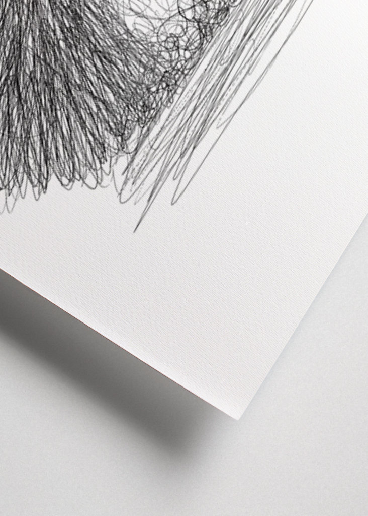 Hérisson griffonné